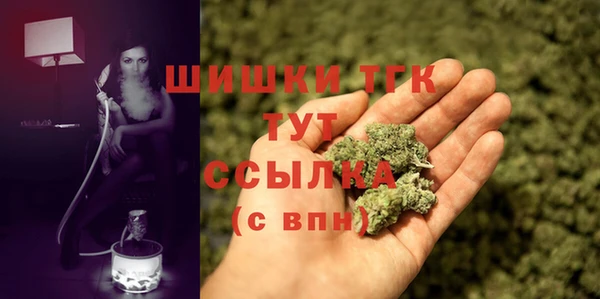 прущие крисы Новодвинск
