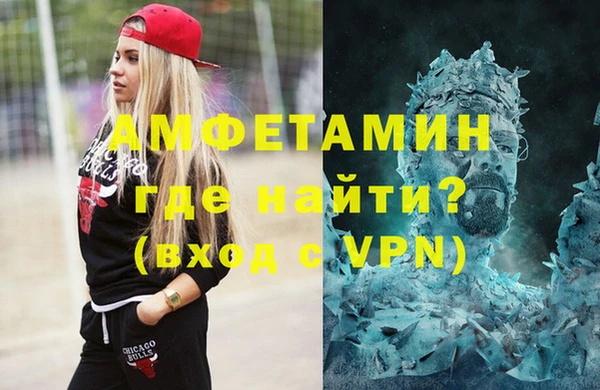 прущие грибы Новозыбков