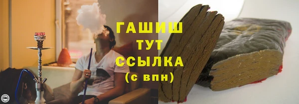 прущие грибы Новозыбков