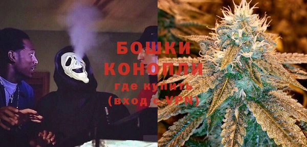прущая мука Нея