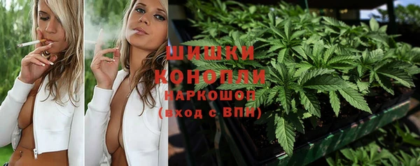 прущая мука Нея