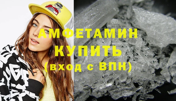 прущие грибы Новозыбков