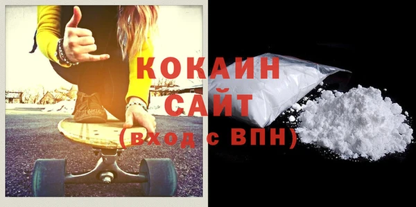 прущие грибы Новозыбков