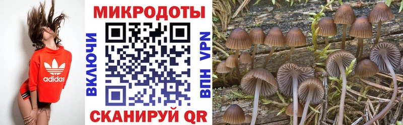 Галлюциногенные грибы GOLDEN TEACHER  Кодинск 