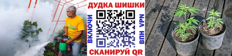 Канабис THC 21%  наркота  hydra зеркало  shop наркотические препараты  Кодинск 